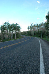 Fototapeta premium alpine road