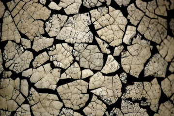 cracked surface patterns of a ceramic vase