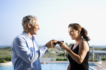 Caucasian couple toasting wine glasses.