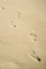 Coastline with footprints.