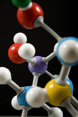 Molecular model