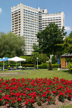 flower bed