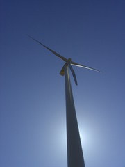 windrad 11