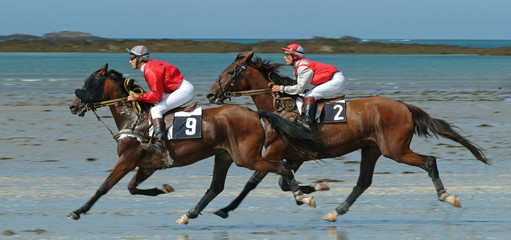 course hippique