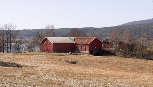 farm in the spring