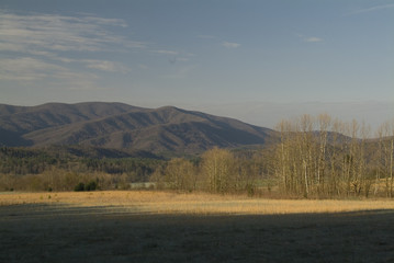 smoky mountains and trees at sunrise