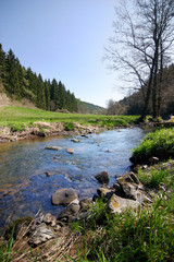 spring countryside with river - sunny romantic day