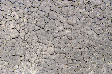 old dense cracky paint