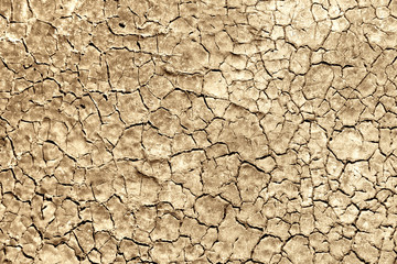 high contrast cracky paint