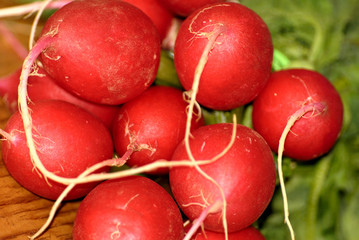 radish