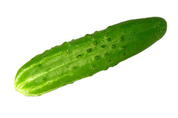 cucumber