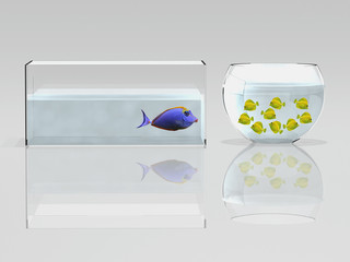 poisson et aquarium