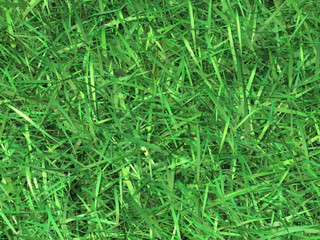 green grass