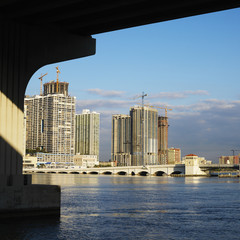 Fototapeta na wymiar Waterfront skyline with bridge in Miami, Florida, USA.