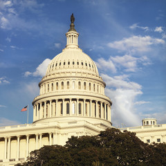 Obraz premium Capitol Building in Washington, DC, USA.