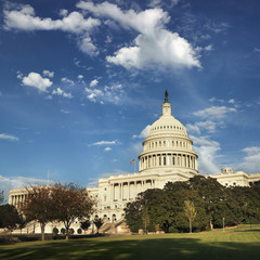 Naklejka premium Capitol Building in Washington, DC, USA.