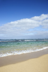 landscape of waves lapping on beach.