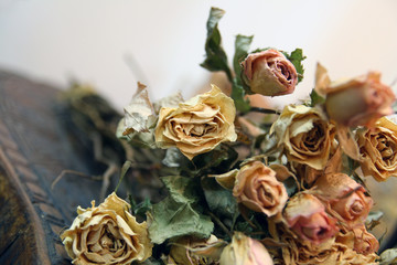 dry roses