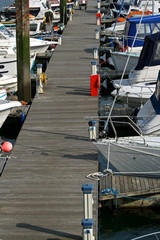 Fototapeta na wymiar marina dock