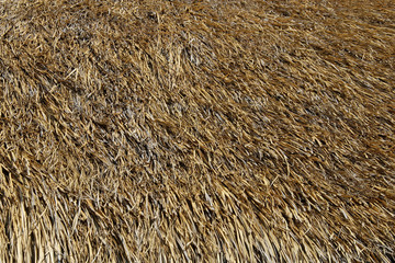 thatched roof background