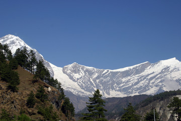 daulaghiri summit