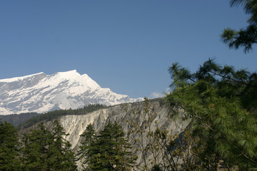 nepal trekking