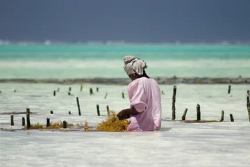 Papier Peint photo autocollant Zanzibar travailler pour la vie