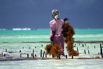 Fotobehang Zanzibar werk voor het leven