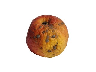 old apple on white background