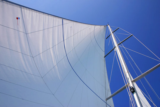 white sails
