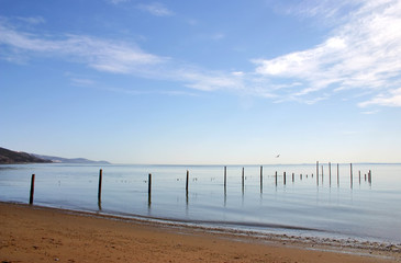 shore landscape