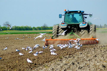 ackerbau und pflügen