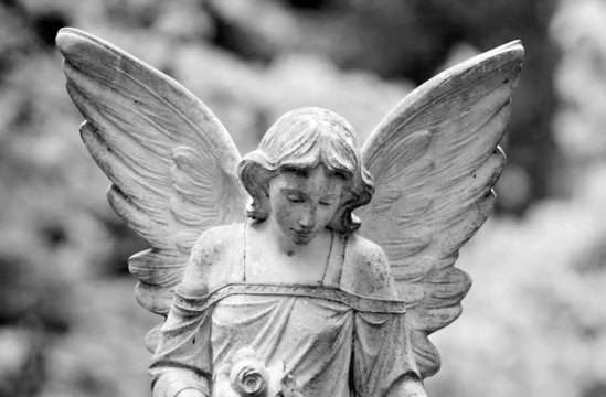 winged angel