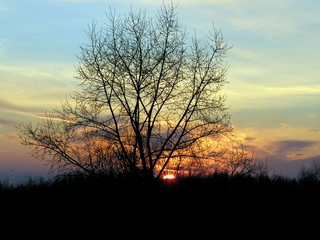 Fototapeta premium sunrise