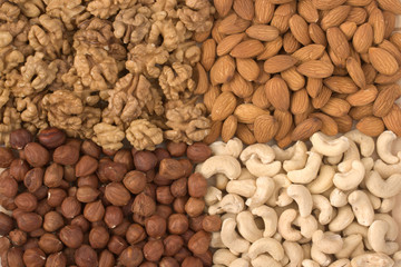 different  nuts close up