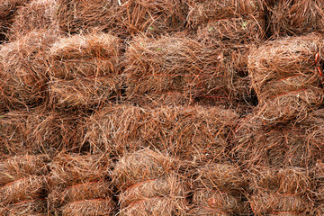 pinestraw