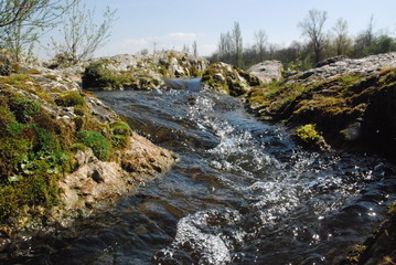 wasser