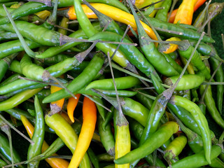 frische grüne chillies