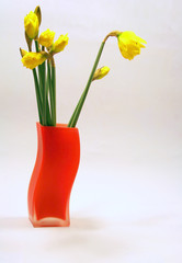 orange vase