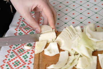 cutting of cabbage