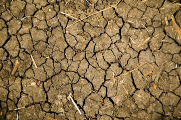 cracked earth dryed out