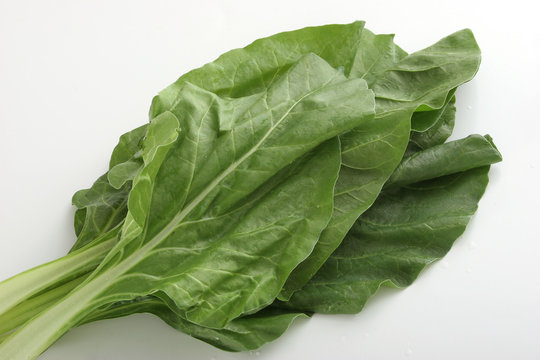 hojas de acelga