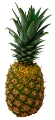 Fototapeta premium pineapple