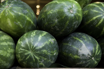 watermelons 1