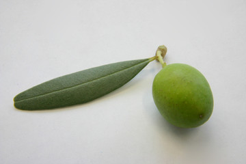 oliva 01