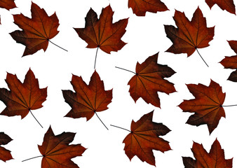 autunno