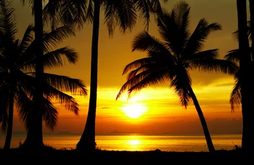 Deurstickers Zonsondergang aan zee sunset equator