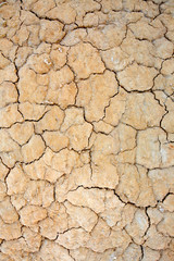 parched earth