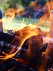 flames entwining around burning logs