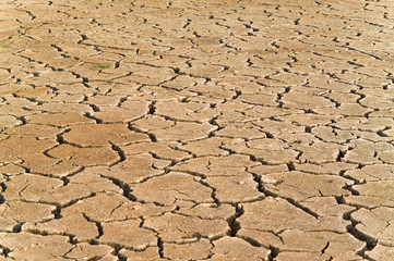dried soil